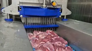 REISCHL RPI 62/123 20% Injection of pork shoulder 