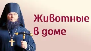 Животные в доме