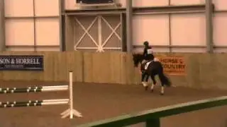 GRAFENSTOLZ BBSH stallion event Hartpury 2011