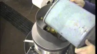 Nilma MAXIM - Fast onion peeler