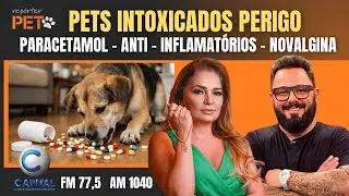 PETS INTOXICADOS CUIDADO
