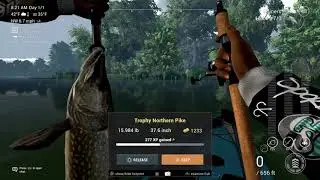 How to catch trophy northern pike on fishing planet