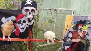 PIRATE GAME 2017 GUADALUPE