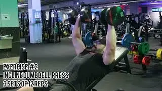 BEGINNER CHEST AND TRICEP WORKOUT ROUTINE FOR MUSCLE MASS