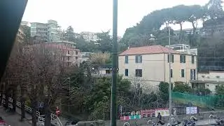 Gabbiano Vagabondo 