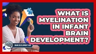 What Is Myelination In Infant Brain Development?