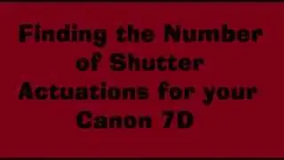 Canon 7d Shutter Count