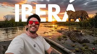 Iberá Wetlands: the JEWEL of Argentina 🐆🐊🦌🐍