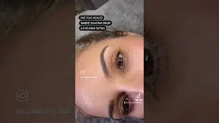 1 year healed result both Ombre brow + Upper Eyeliner tattoo vs fresh annual touch-up eyebrows
