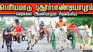தூத்துக்குடி மாவட்டம் புதூர்பாண்டியபுரம் பந்தயம் 