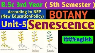 BSc 3rd Year 5th Semester Botany Unit 5//Senescence in Hindi//Types of Senescence//Senescence