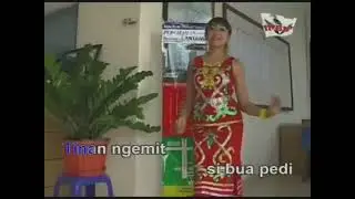 KARAOKE KALIMANTAN PULAU BORNEO||m.bujoi & natalia