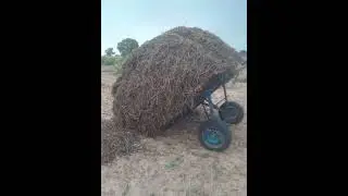 Keba Diagne Dembe Réew mi Ak Omar Cisse 