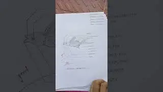 bsc 3 year spotting zoology practical
