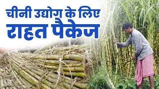 Modi Cabinet Approves Rs 8,500 Crore Bailout Package for Sugar Industry