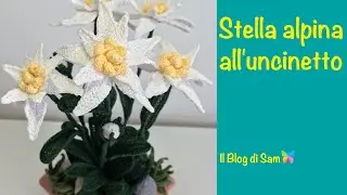 Spiegazione della Stella Alpina all'uncinetto