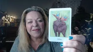 Your Daily Focus for February 27, 2019 through Tarot, Numerology and Astrology