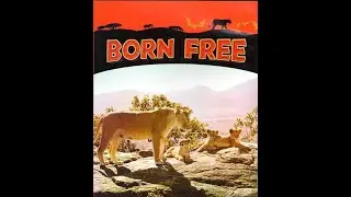 BORN FREE (nata libera) - (Giorgio Ferrari sax)
