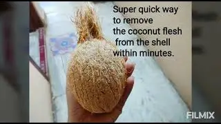 super quick way to remove the coconut flesh from the shell within minutes.