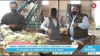 La lana de Trujillanos que conquista el mundo  | A esta hora