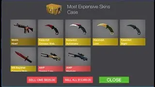 MOST EXPENSIVE CASE EVER