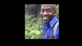 Liam Neeson Okay vine!