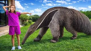 Дикие животные в моём доме – часть 1! 🐾😱