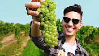The Sparkling Winos Discuss everything Ontario Sparkling Wine at Berkeley Bicycle Club