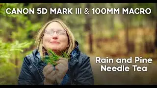 Rainy Day Macro Photography & White Pine Needle Tea: Stunning Close-Ups with Canon 5D Mark III