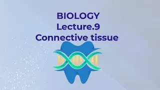 بايولوجي | Connective tissue