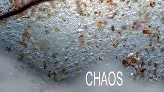 Chaos amoeba