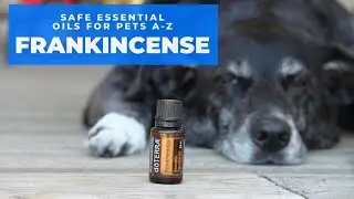 Frankincense - Safe Essential Oils for Pets A-Z