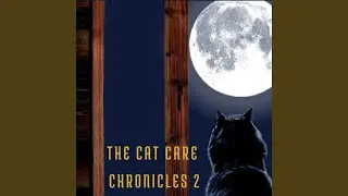 Purrfect Moments