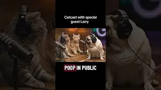 Catcast with special guest Larry #cat  #catcast #catpodcast #dog #guest