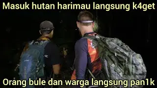 MASUK HUTAN HARIMAU,ORANG BULE INI LANGSUNG K4GET KETEMU PENGHUNI NYA MUNCUL TIBA-TIBA