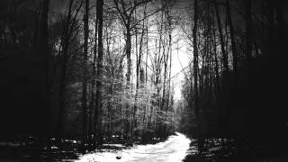 Bergthron - Den Treuen Dienern Der Nacht