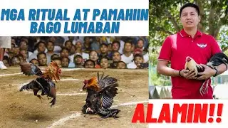 Sabong Tips: Mga Ritual At Pamahiin Na Pwedeng Makatulong Para Manalo