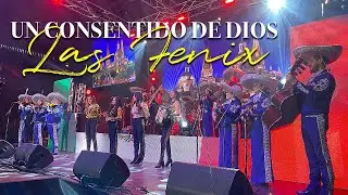 Las Fenix - 