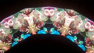 Judith Paul Autumn Moon Kaleidoscope