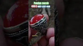 batu akik pandan merah sisik betik full rapih warna solid #batuakik #singapore #malaysia #gemstone