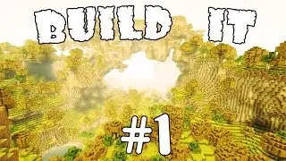 [Build it #1] 