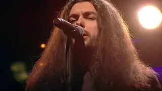 Lion Shepherd wykonują utw&oacute;r What Went Wrong | Nowa Tonacja w CANAL+