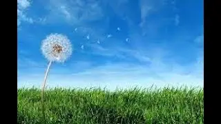 The Clean Air Act