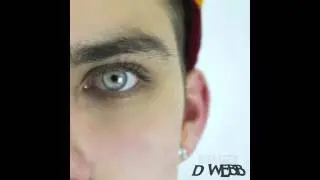 D WEBB - High Life