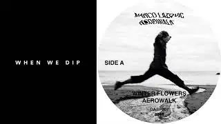 Premiere: Marco Lazovic - Winter Flowers [GASP Records]