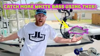 Tips for Catching TONS of Summer WHITE BASS!!