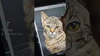 Creative Cat One Line Art