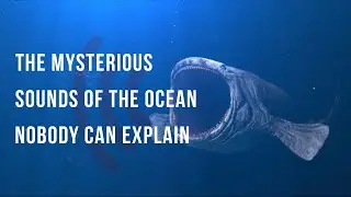 The Mysterious Sounds of the Ocean Nobody Can Explain