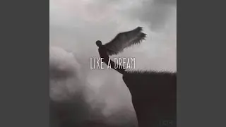 Like a dream