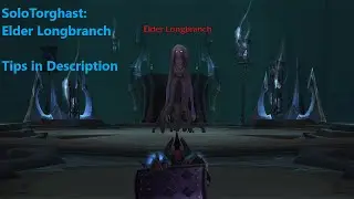 Elder Longbranch Guide: Layer 8 Solo Prot Pally - WoW Shadowlands